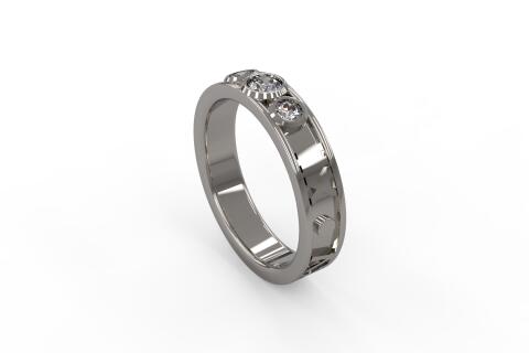 Секционное кольцо
